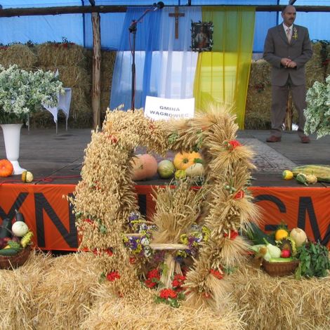 Zdjęcie z galerii Dożynki Rudnicze 2006