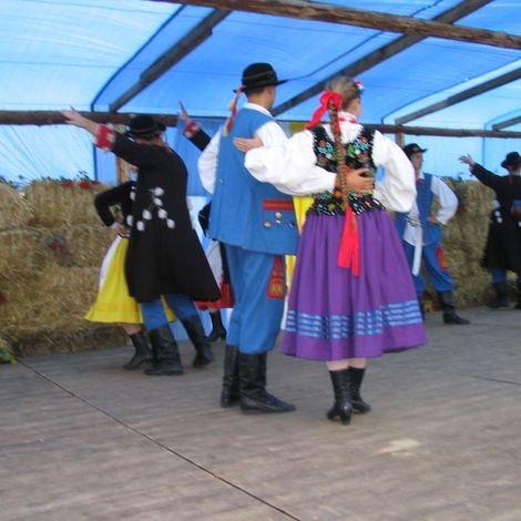 Zdjęcie z galerii Dożynki Rudnicze 2006