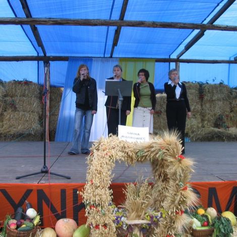 Zdjęcie z galerii Dożynki Rudnicze 2006