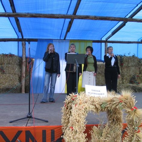 Zdjęcie z galerii Dożynki Rudnicze 2006