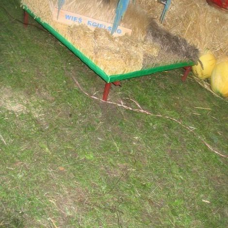 Zdjęcie z galerii Dożynki Rudnicze 2006
