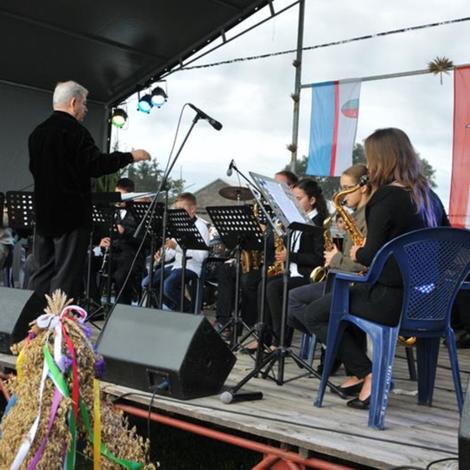 Zdjęcie z galerii Dożynki 2017