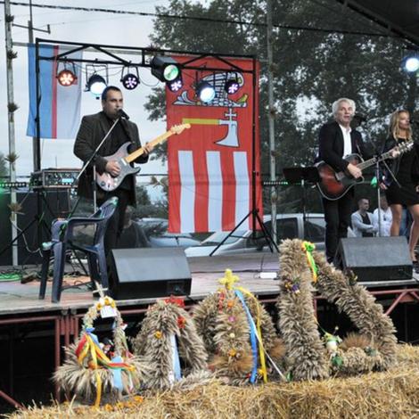 Zdjęcie z galerii Dożynki 2017