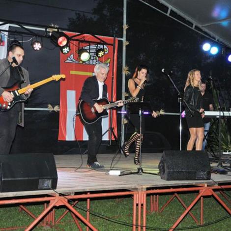 Zdjęcie z galerii Dożynki 2017