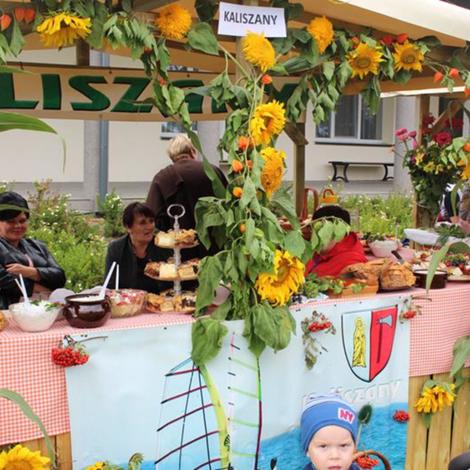 Zdjęcie z galerii Dożynki 2017