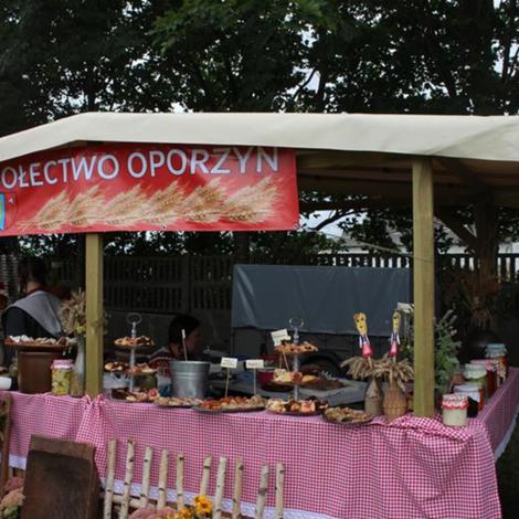 Zdjęcie z galerii Dożynki 2017