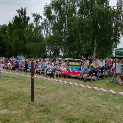 Zdjęcie z galerii XX Regionalna Wystawa Koni Hodowlanych w Siedleczku