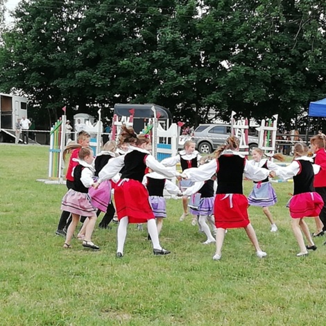 Zdjęcie z galerii XX Regionalna Wystawa Koni Hodowlanych w Siedleczku