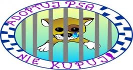 (link otworzy duże zdjęcie)
