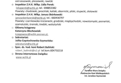  (link otworzy duże zdjęcie)