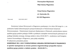  (link otworzy duże zdjęcie)