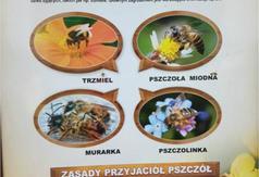  (link otworzy duże zdjęcie)