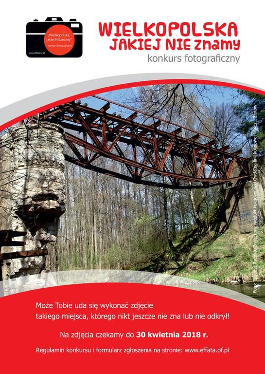  (link otworzy duże zdjęcie)