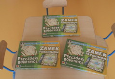  (link otworzy duże zdjęcie)
