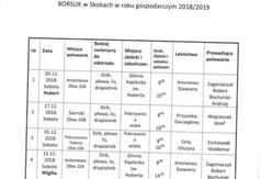  (link otworzy duże zdjęcie)