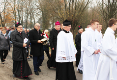  (link otworzy duże zdjęcie)