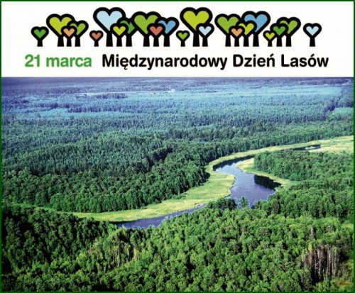(link otworzy duże zdjęcie)