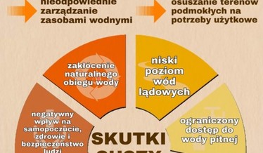 Infografika