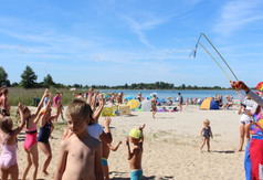  (link otworzy duże zdjęcie)