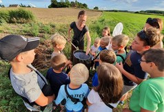 piknik (link otworzy duże zdjęcie)