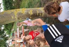 piknik (link otworzy duże zdjęcie)