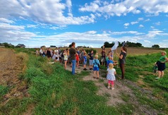 Bracholin (link otworzy duże zdjęcie)
