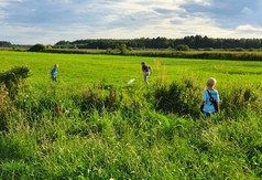 Bracholin (link otworzy duże zdjęcie)