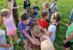 Bracholin (link otworzy duże zdjęcie)