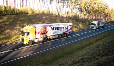 mammobus