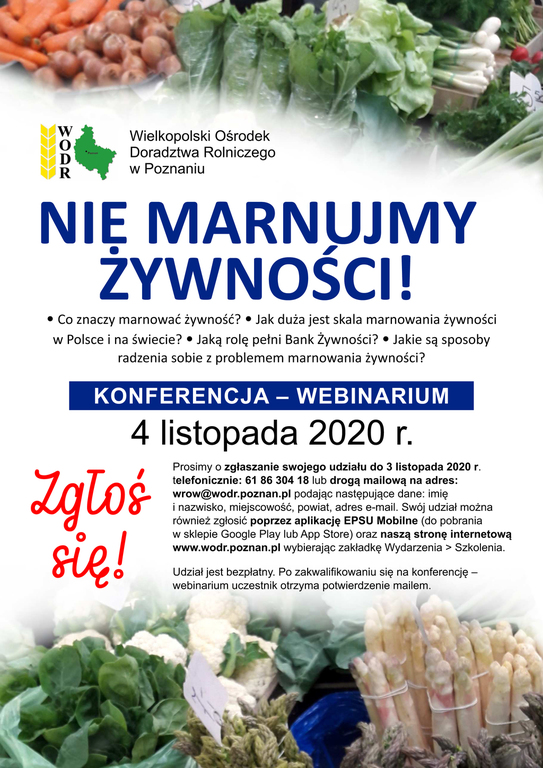 plakat (link otworzy duże zdjęcie)