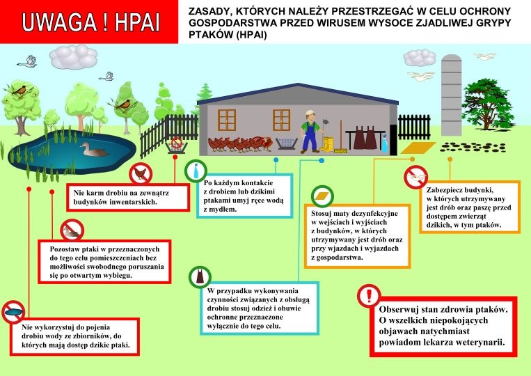 asf (link otworzy duże zdjęcie)