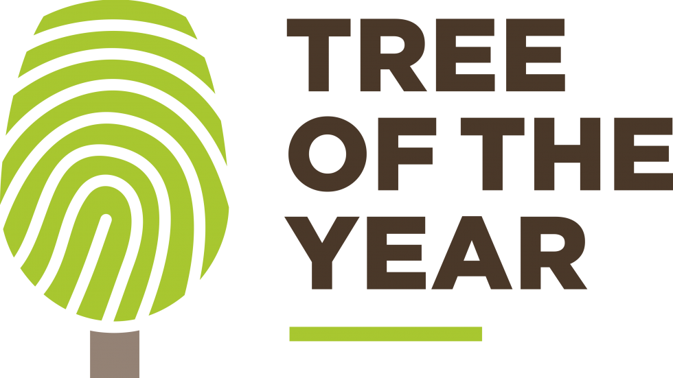 logo (link otworzy duże zdjęcie)