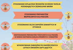 plakat (link otworzy duże zdjęcie)