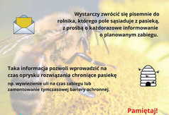  (link otworzy duże zdjęcie)