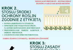 plakat (link otworzy duże zdjęcie)