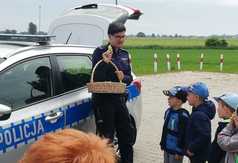  (link otworzy duże zdjęcie)