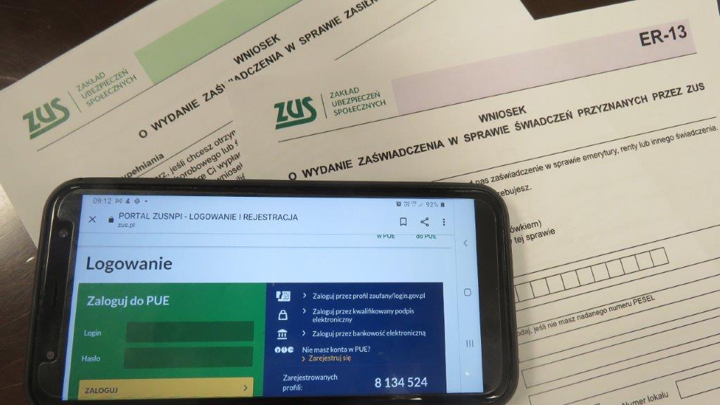 PUE (link otworzy duże zdjęcie)