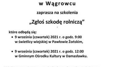 szkolenia