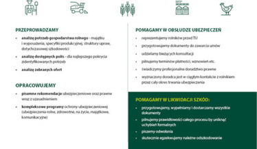 ubezpieczenia