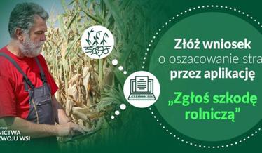 szkody