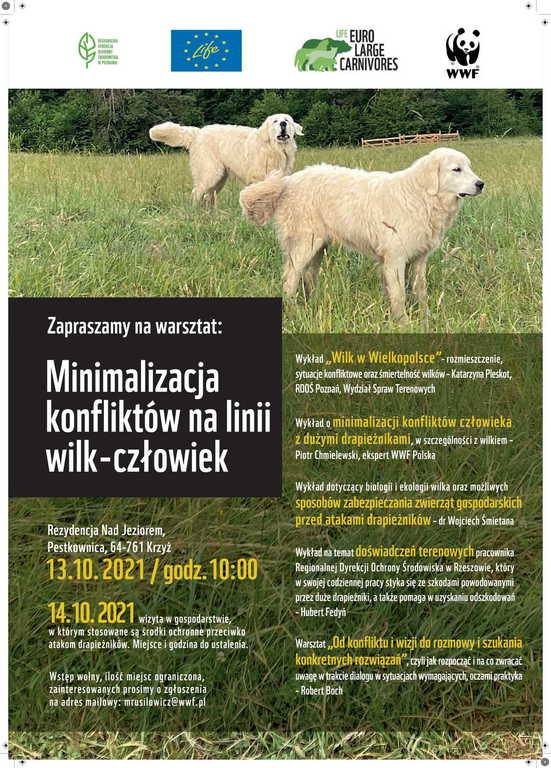 plakat (link otworzy duże zdjęcie)