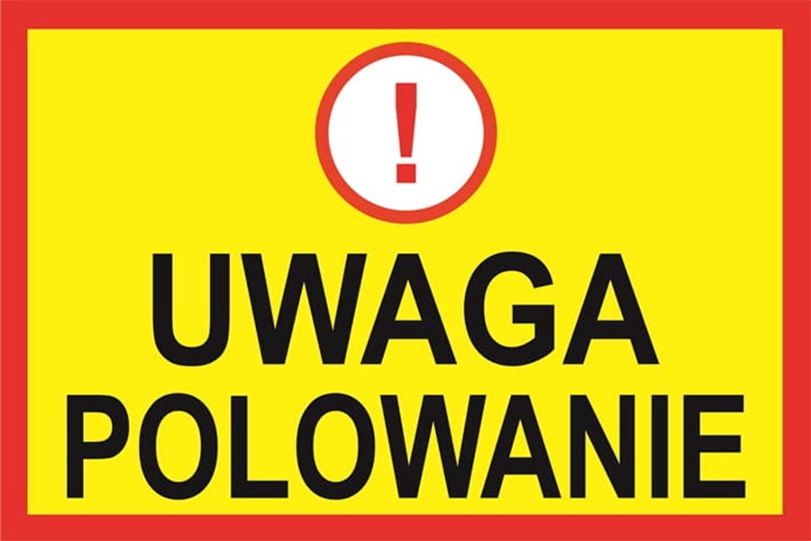 (link otworzy duże zdjęcie)