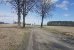 droga (link otworzy duże zdjęcie)