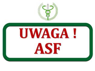 asf (link otworzy duże zdjęcie)