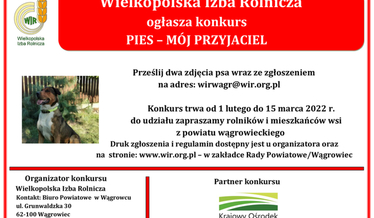 konkurs