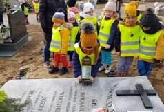  (link otworzy duże zdjęcie)