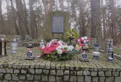  (link otworzy duże zdjęcie)