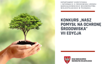 konkurs