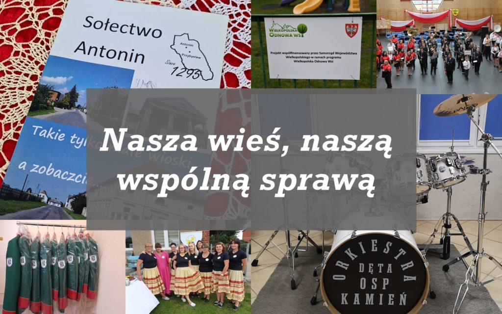 przegląd (link otworzy duże zdjęcie)