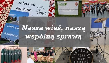 przegląd